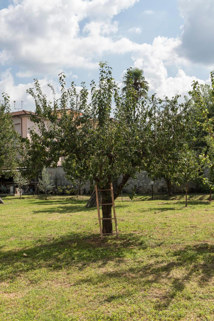 La Chiusa Delle Monache Lucca Exteriör bild